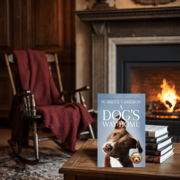 A dog's way home by W. Bruce Cameron - BOOKCELLAR - The world's best stories...uncorked!