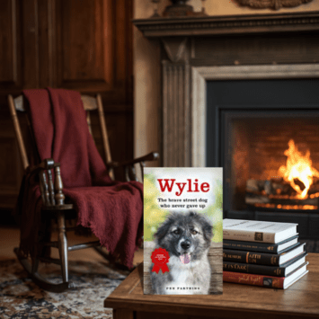Wylie by Pen Farthing - BOOKCELLAR - The world's best stories...uncorked!